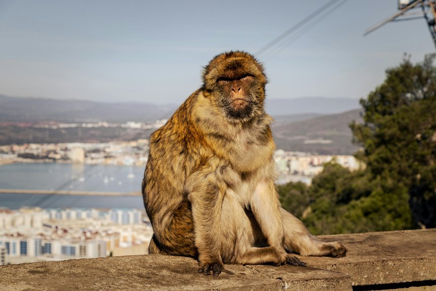 tvs advantages and guide