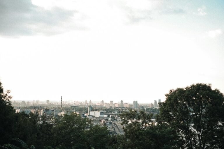 digital innovation and growth