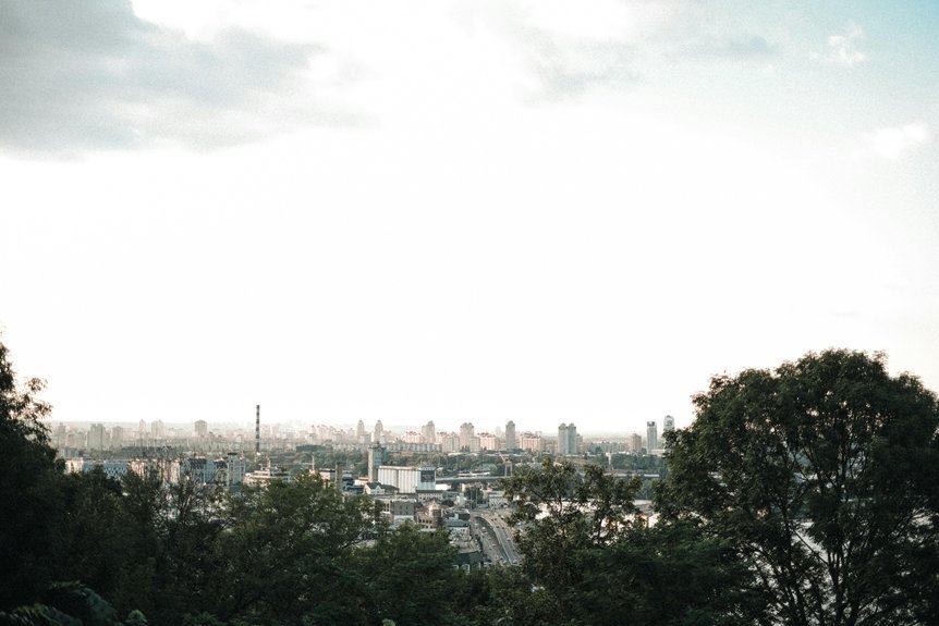 digital innovation and growth